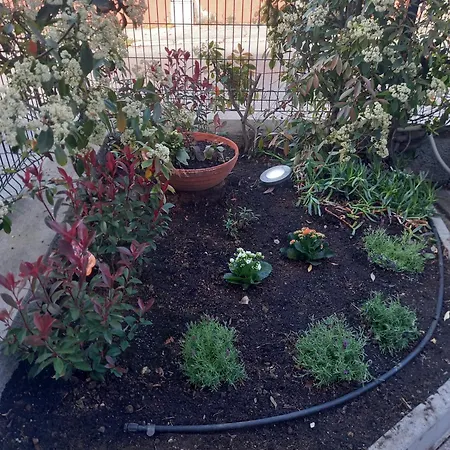 Pensjonat La Casa Di Piccoli Di Gabriele Martelli E Catia Pacetti - Coccinella