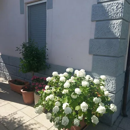 La Casa Di Piccoli Coccinella * Ancona